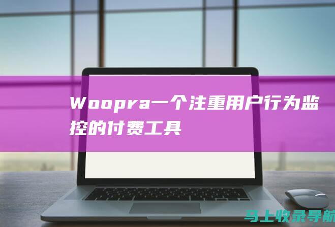 Woopra： 一个注重用户行为监控的付费工具，提供详细的用户行为洞察。