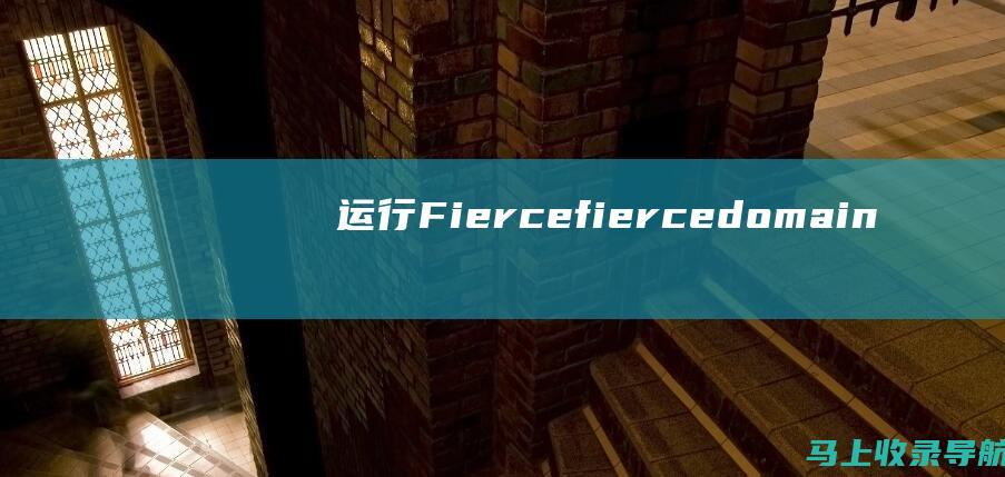 运行Fierce： fierce -domain example.com