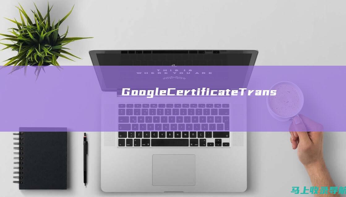 Google Certificate Transparency Logs： https://transparencyreport.google.com/https/certificates