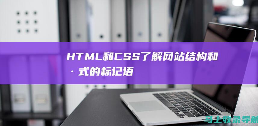 HTML 和 CSS：了解网站结构和样式的标记语言至关重要，以优化页面上的关键字和结构。