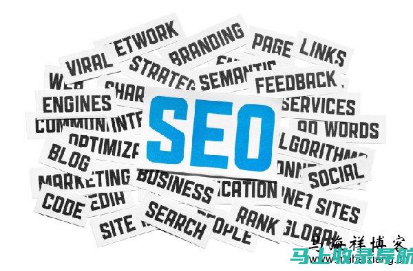 利用 SEO 策略提升网站流量和业务增长的全面指南：掌握搜索引擎优化营销推广技巧