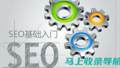 零基础SEO入门教程：从初学者到专业人员