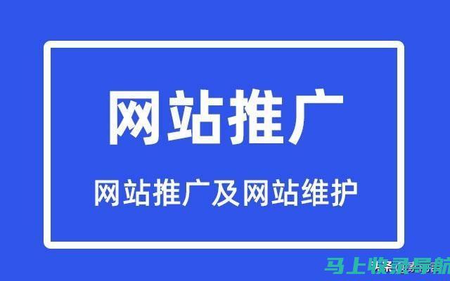 网站推广的主要目的和作用