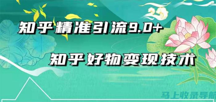 实时更新：流量数据会实时更新，让您时刻掌握网站的最新情况。