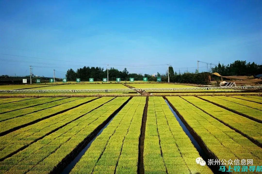 负责本地区农村经济的综合管理，包括农业生产、农村产业发展、农民增收、农村投资和对外合作等。