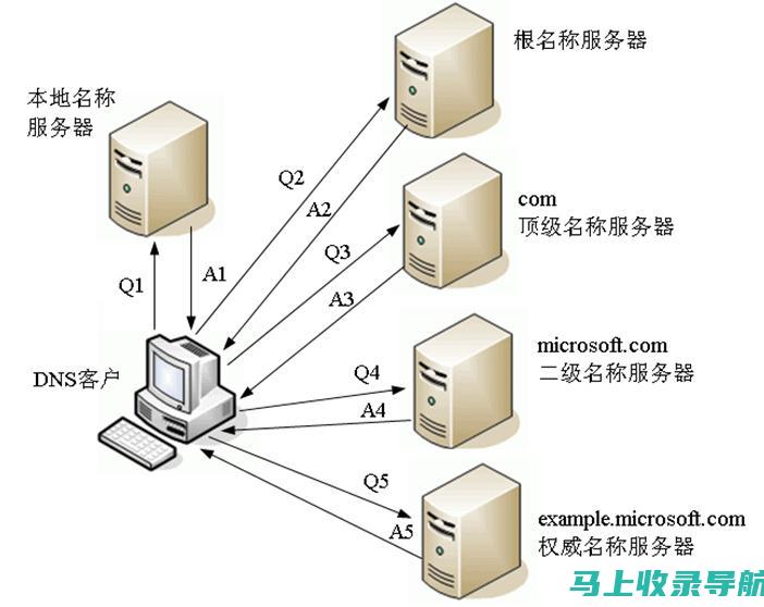 在域名字段中输入域名。