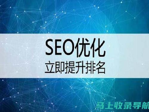 SEO 培训速成班：掌握搜索引擎优化的秘诀