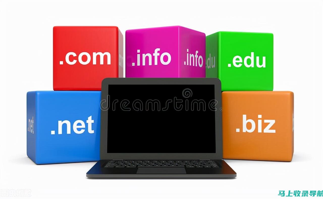 域名：网站的互联网地址，如www.example.com。