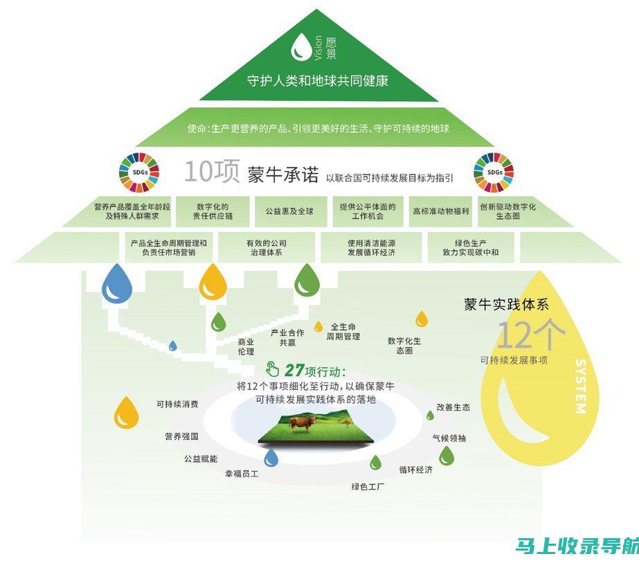 使用数据分析工具网站性能并进行持续优化以