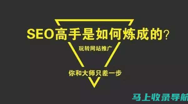 顶尖 SEO 优化工具，提升您网站的可见性