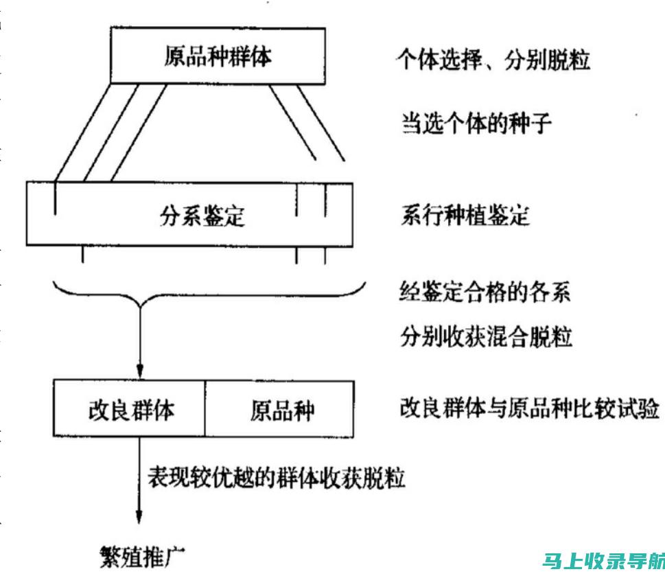 根据您的受众和目标选择一个或多个付费广告平台