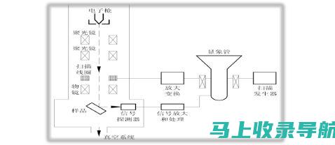 SEM入门与精通：从零基础到掌握所需时间指南