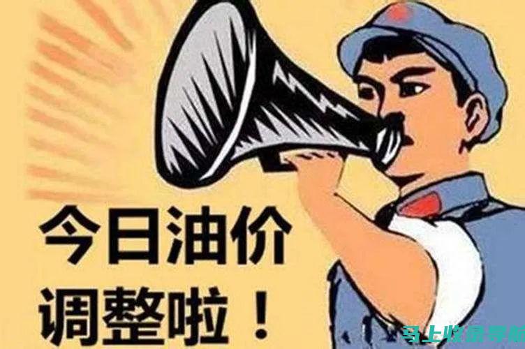 站长总结范文：涵盖各种网站类型的实用范例