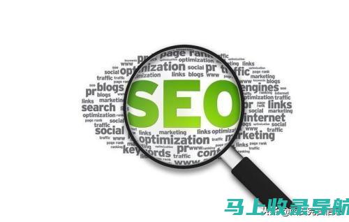 SEO（搜索引擎优化）：揭秘其作用和影响