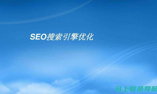 提升网站可见度和流量的 SEO 推广工作