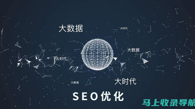 网站优化：我们优化您的网站，使其在 Google 和其他搜索引擎中排名更高。这包括内容优化、技术 SEO 和页面速度提升。