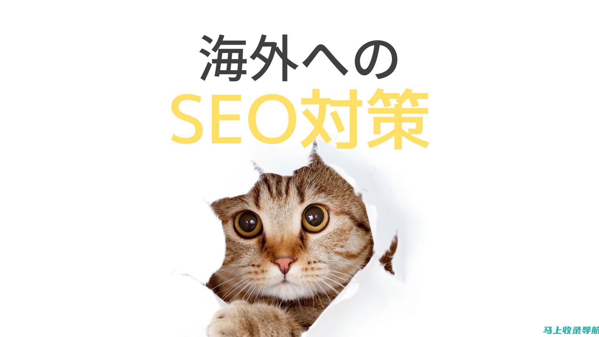 海外 SEO 推广方案指南：针对国际市场优化您的网站