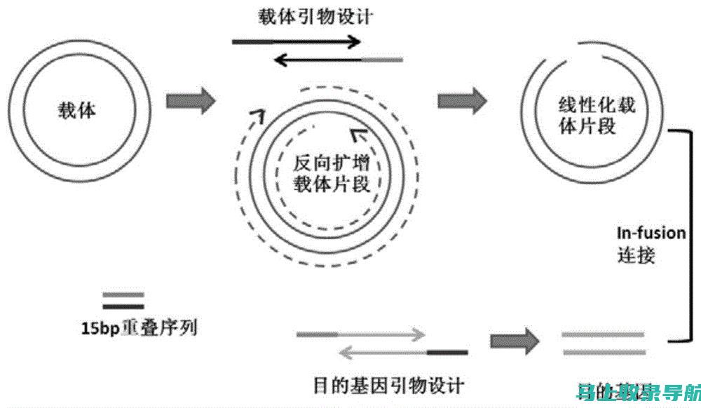 反向链接来源页面