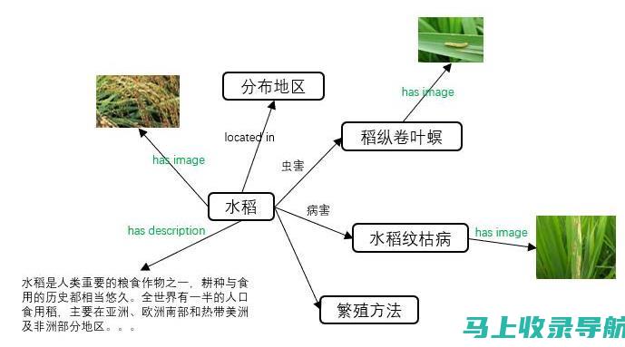 示例2：关于社会保障的站长申论