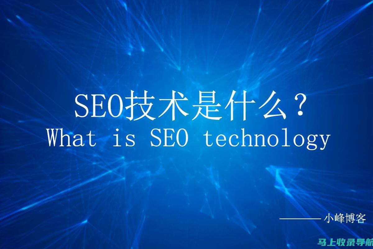 利用 SEO 审计工具：定期使用 SEO 审计工具来分析您的网站并找出需要改进的领域。