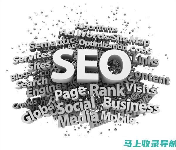 SEO 基础：从初学者到专家的终极指南