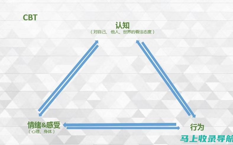 深入解析四信SEO面试：必备知识、技巧和常见问题