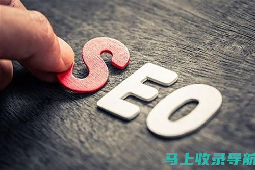 掌握 SEO 推广的艺术：20 个提升网站知名度的关键技巧