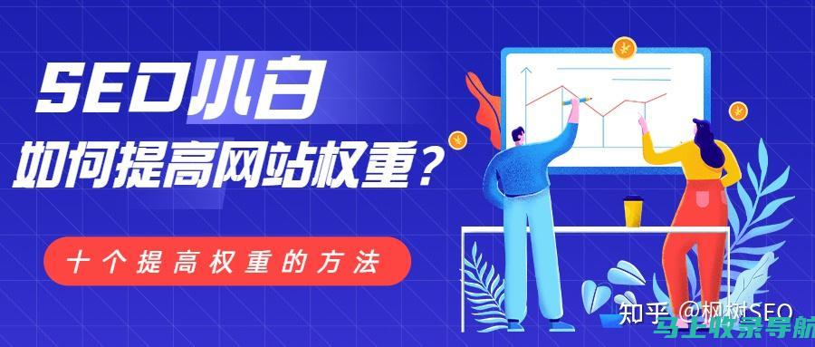 提高网站权限的利器：编写有效的 SEO 文章