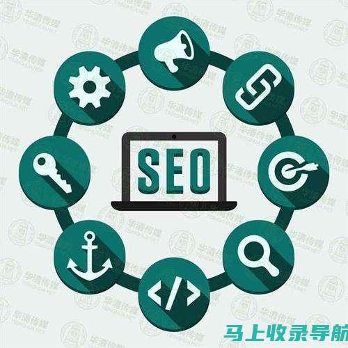 SEO 数据智库：综合查询工具提供全面网站洞察