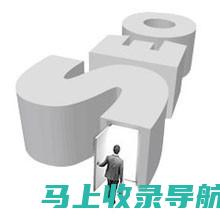 优化网站性能：SEO 综合查询工具的诊断功能