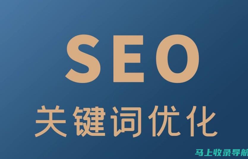 SEO 推广：业务增长的终极指南