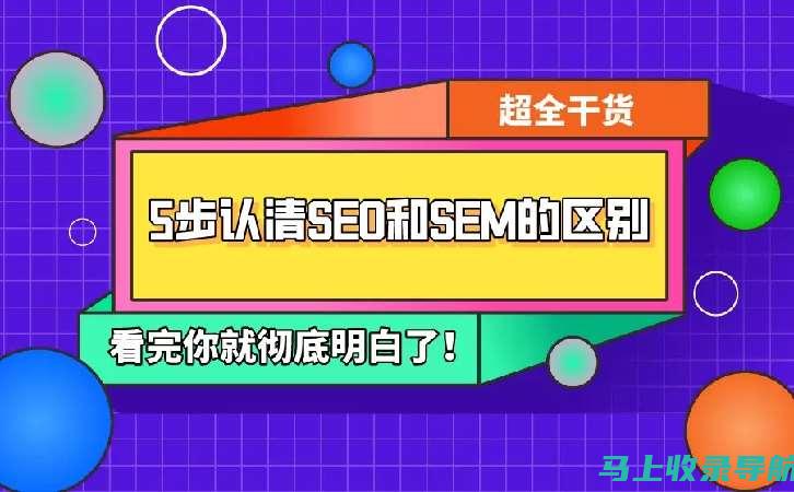 SEO推广的艺术与科学：为您的网站赋能