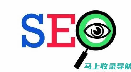 SEO 零基础快速入门：新手打造高排名网站秘诀