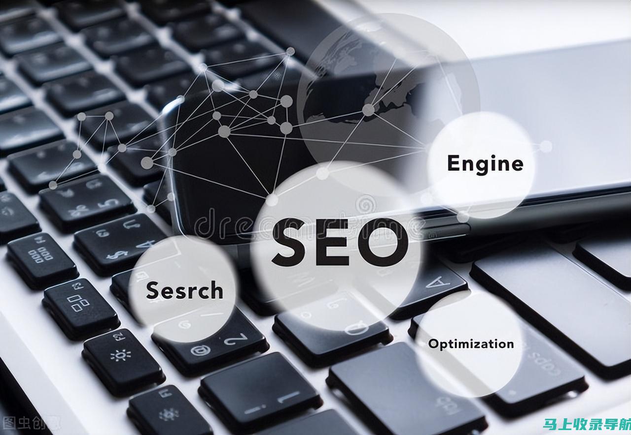 SEO 入门入门：零基础到专家级，提升你的网站排名