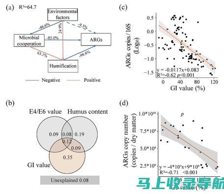 SEM 与 SEO 的对比：制定有效的数字营销计划