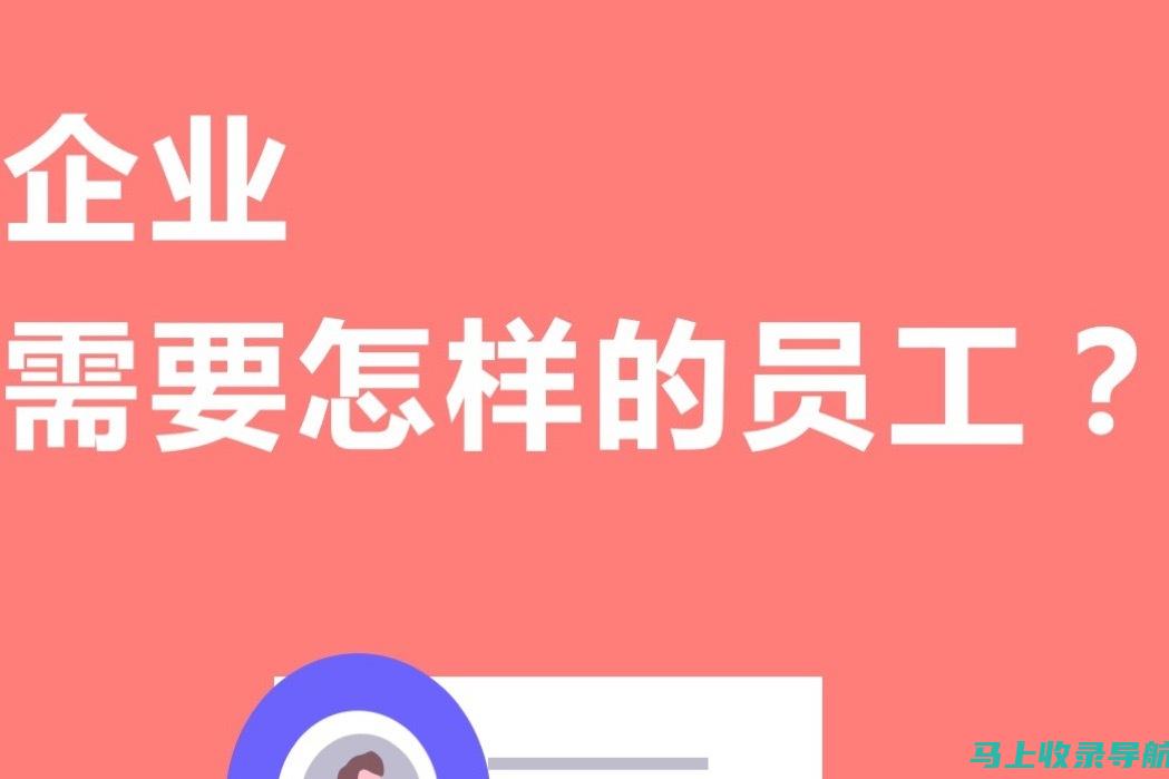 企业必须知道的 10 种必不可少的 SEO 优化工具