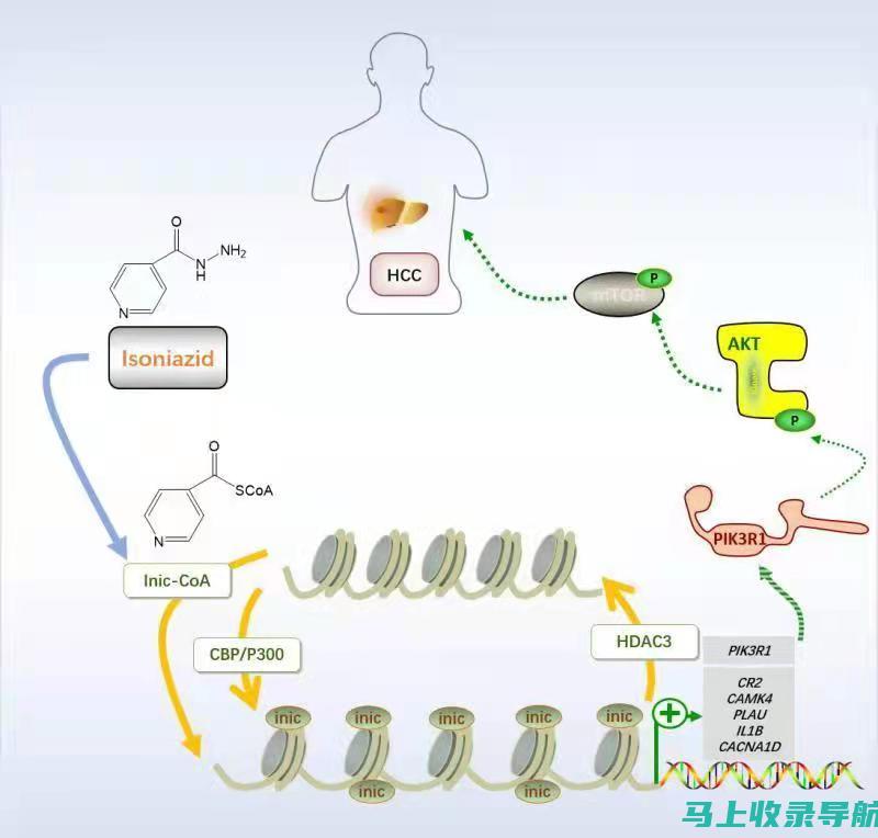 破译视频算法：老站长统计分析优化秘技