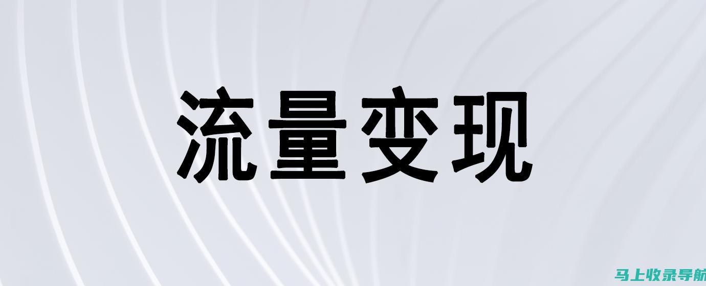 打造流量变现帝国：通过网站流量实现财务自由