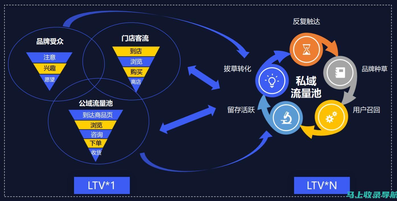 流量变现的颠覆性技巧：释放网站盈利的无穷潜力