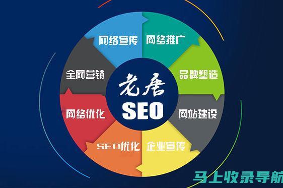 掌握SEO收录技巧：终极指南