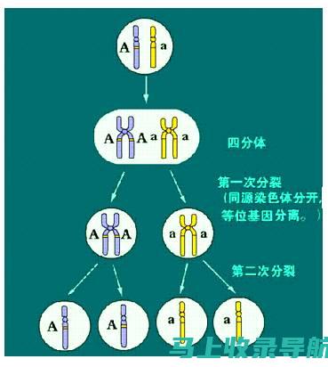 分离法