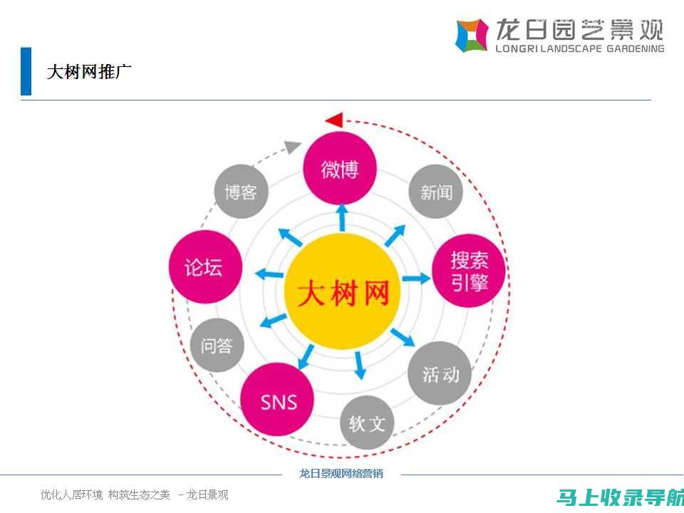 网站推广利器：用站长之家综合SEO查询打造高权重