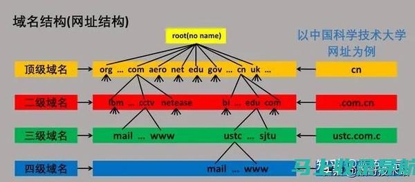 域名到 IP 地址转换器：轻松在线识别 IP 地址