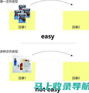 使用命令行查询网站域名 IP：面向技术爱好者的指南