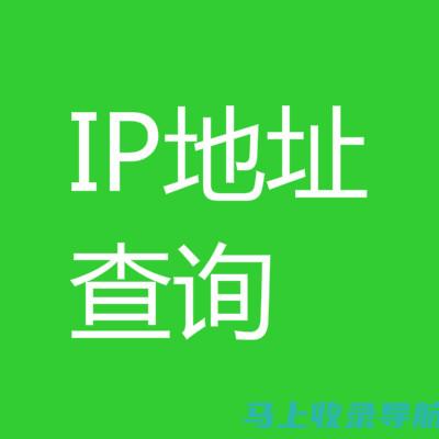 网站 IP 查询：识别网站的实际位置