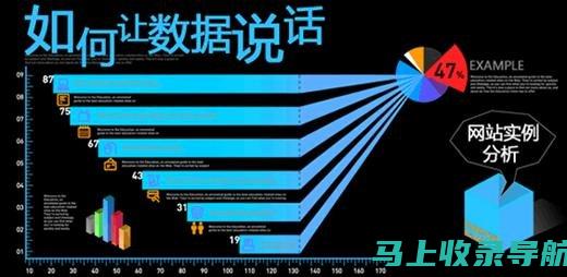 分析网站 SEO 设置以获得可操作的见解