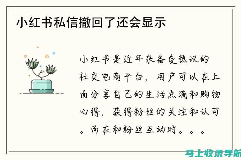 掌握小红书信息流 SEO 秘诀，提升品牌曝光度