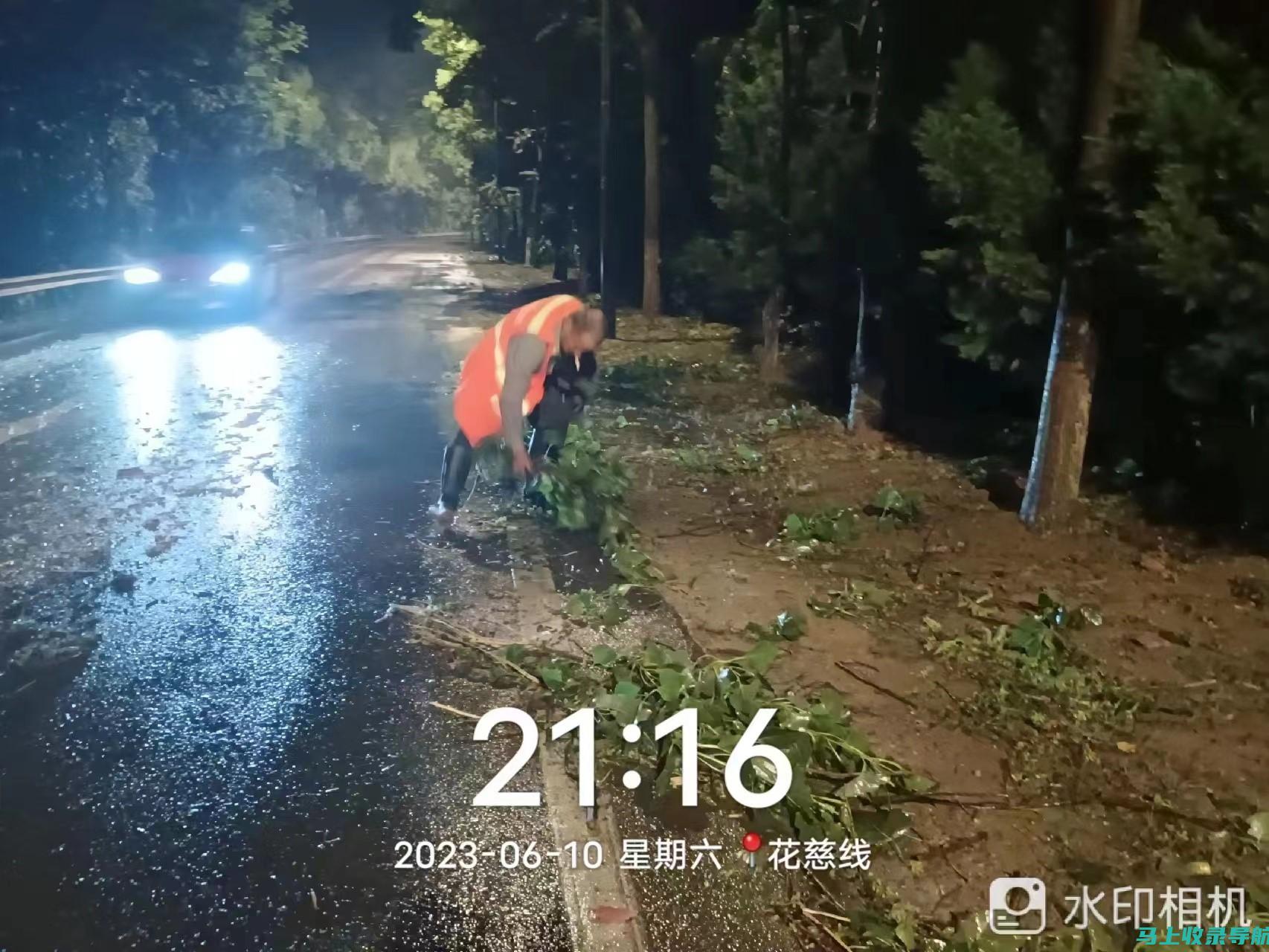 公路管理站站长的职业前景：发展空间与挑战