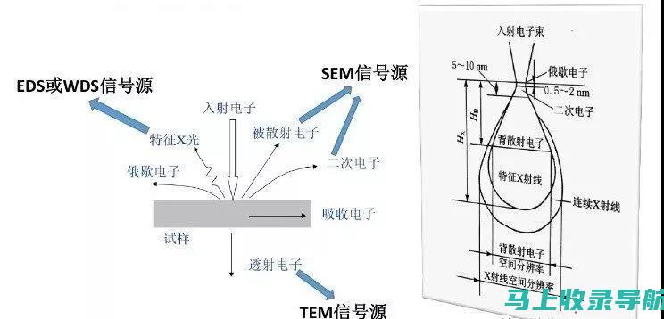 SEM和SEO：职业生涯展望与机遇