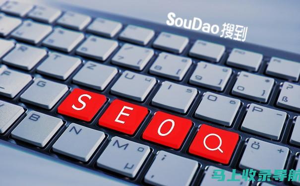 SEO 基础知识：一个循序渐进的教程，让您成为专家